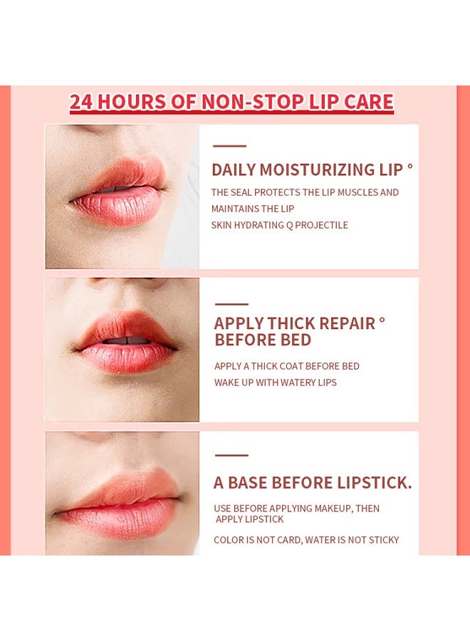 QANZIRE Moisturizing lip mask - Reduces lip lines and hydrates lips 20g - Image 4